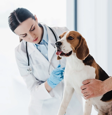 Karapınar Veteriner