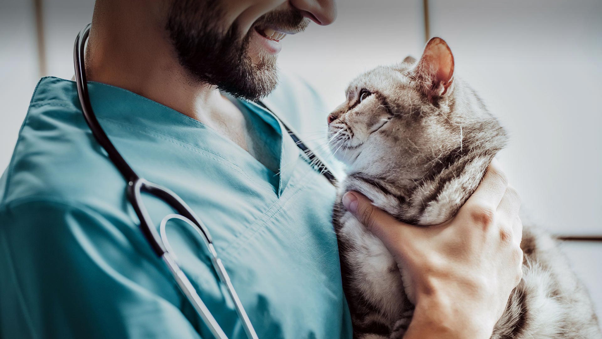 Karapınar Veteriner